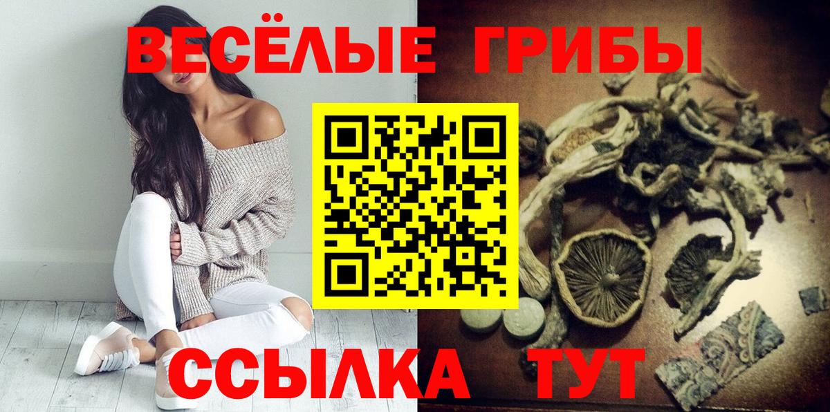 закладка  Галлюциногенные грибы мицелий  Вход с VPN  Комсомольск-на-Амуре  Псилоцибиновые грибы мухоморы 