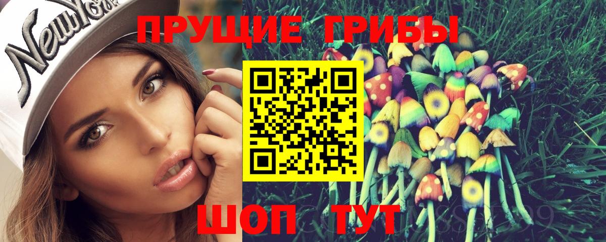Псилоцибиновые грибы мицелий Комсомольск-на-Амуре